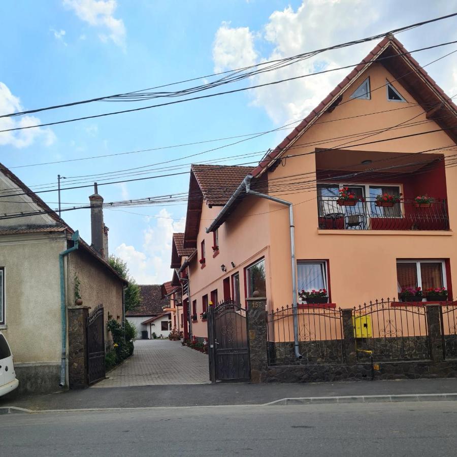 Vila Vladut Zărneşti Екстериор снимка