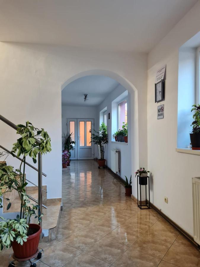 Vila Vladut Zărneşti Екстериор снимка