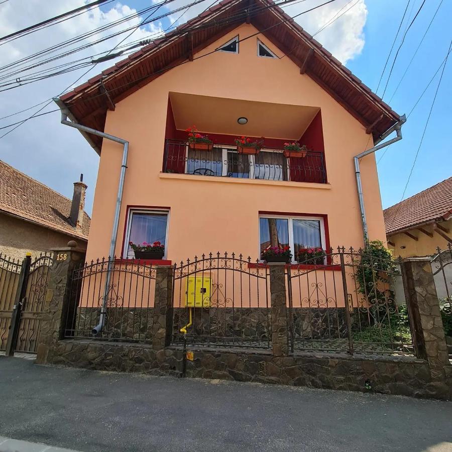 Vila Vladut Zărneşti Екстериор снимка