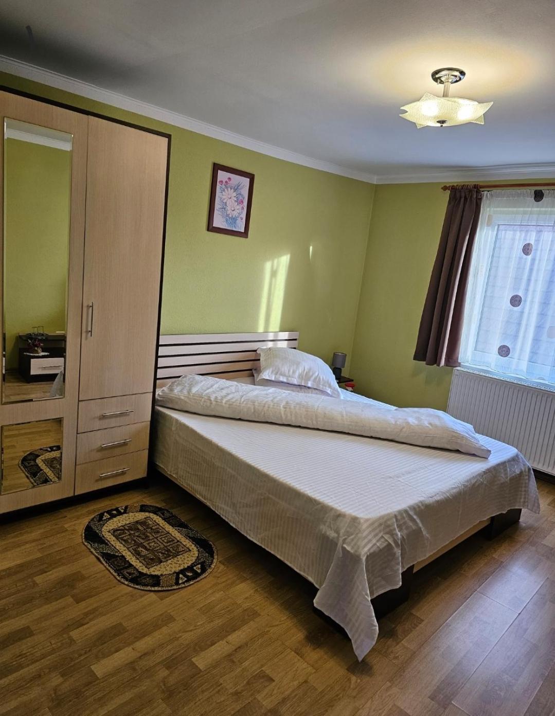 Vila Vladut Zărneşti Екстериор снимка