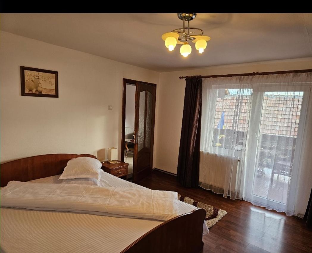 Vila Vladut Zărneşti Екстериор снимка