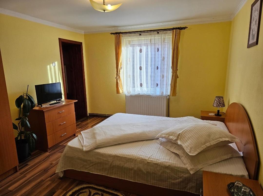 Vila Vladut Zărneşti Екстериор снимка